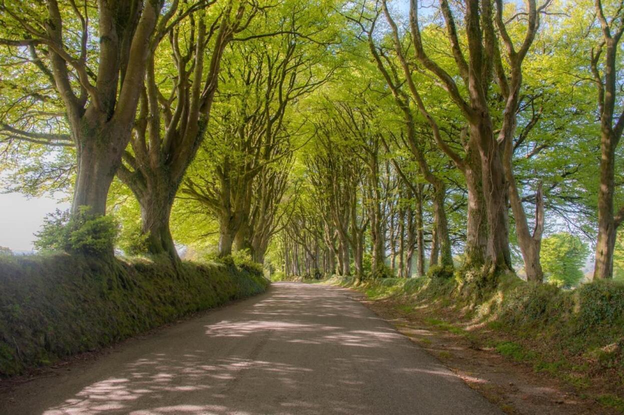 Knole Farm Bed & Breakfast Okehampton Luaran gambar