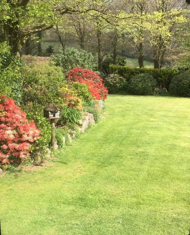 Knole Farm Bed & Breakfast Okehampton Bilik gambar